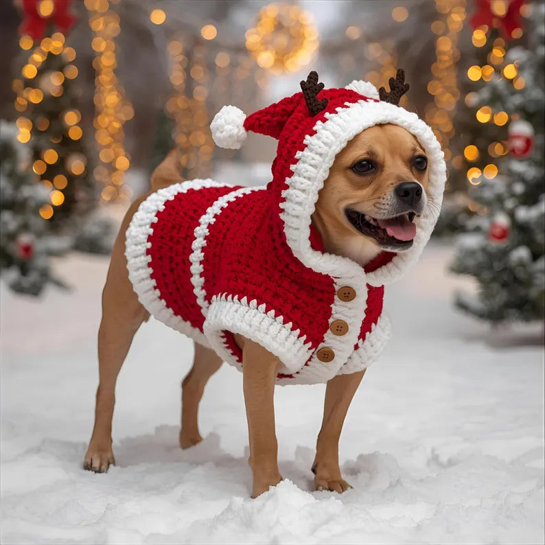 Vêtements pour animaux