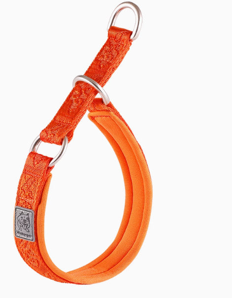 Collier de marche pour chien / Accessoire de dressage