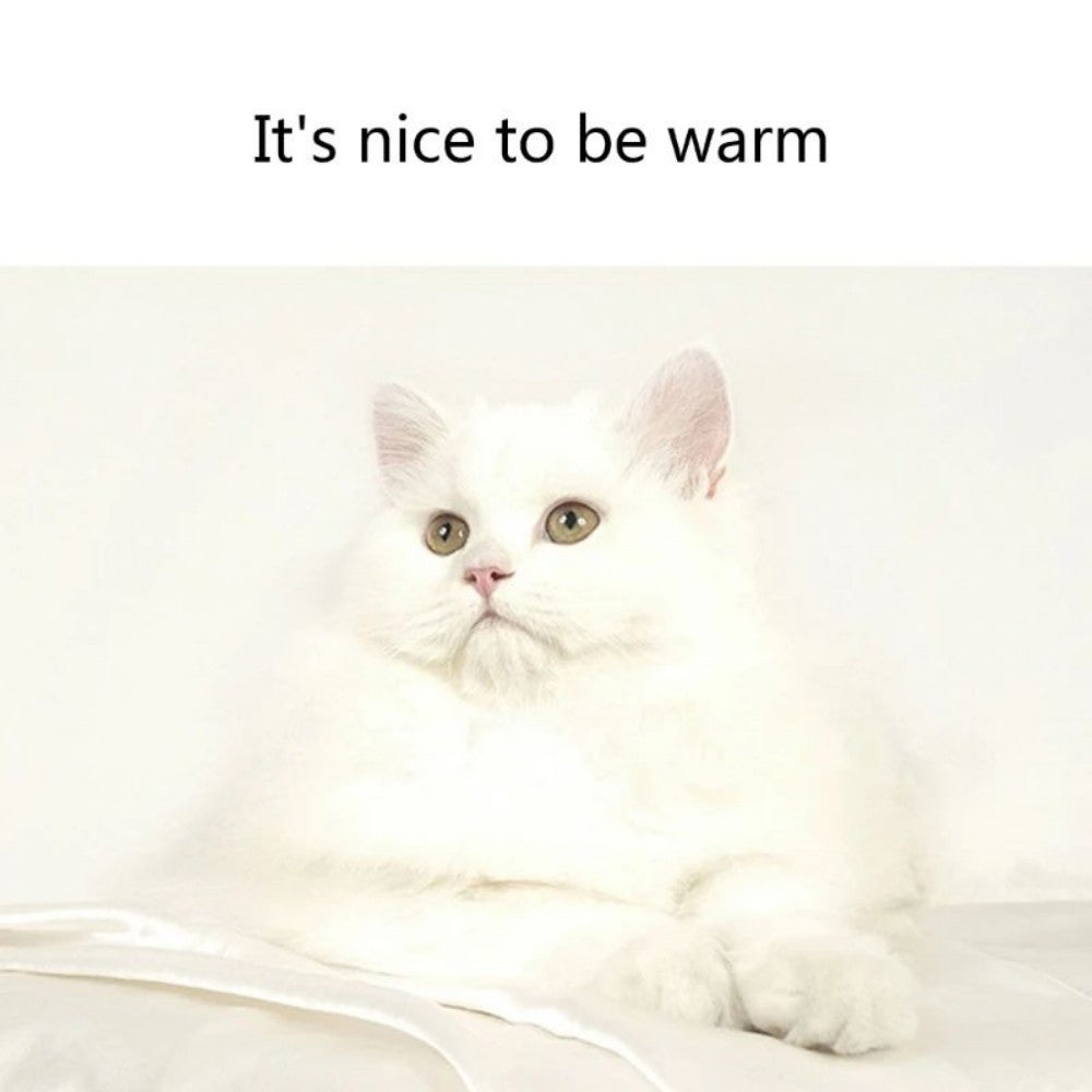 Canapé-lit pour chats et chiens confortable et lavable