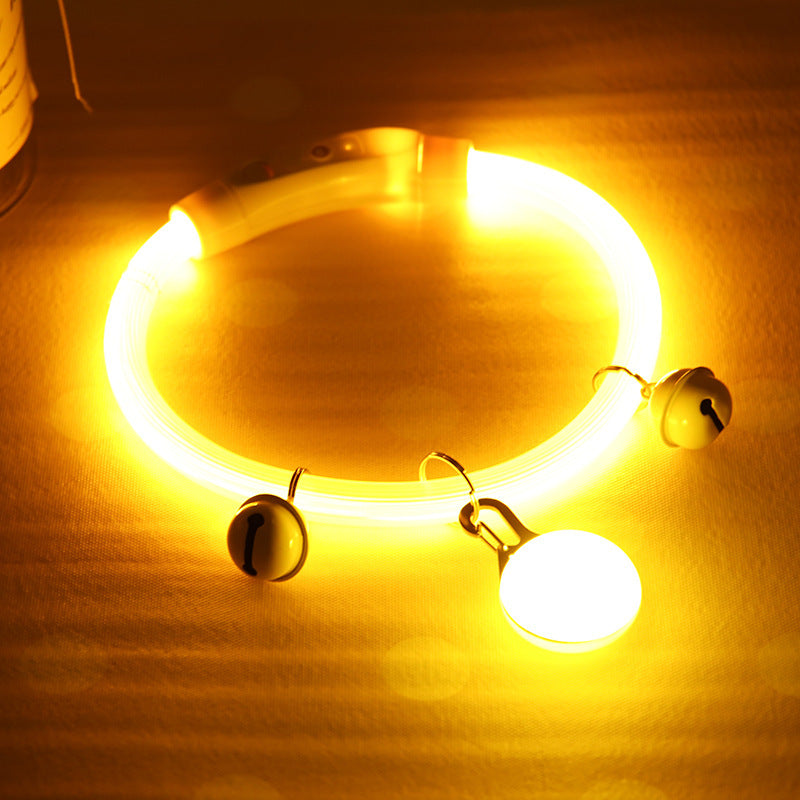 Collier lumineux pour chien brillant