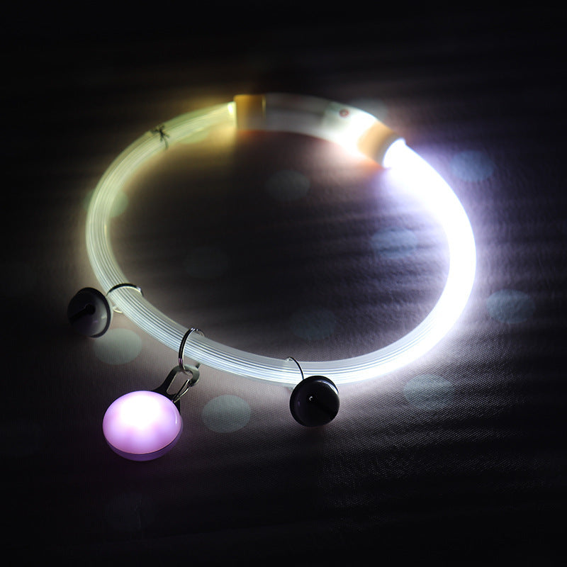 Collier lumineux pour chien brillant
