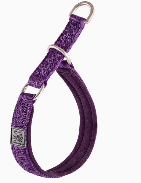 Collier de marche pour chien / Accessoire de dressage