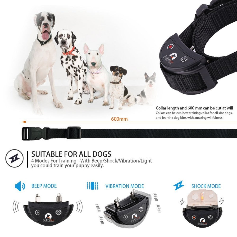 Collier de dressage pour chien anti - shock