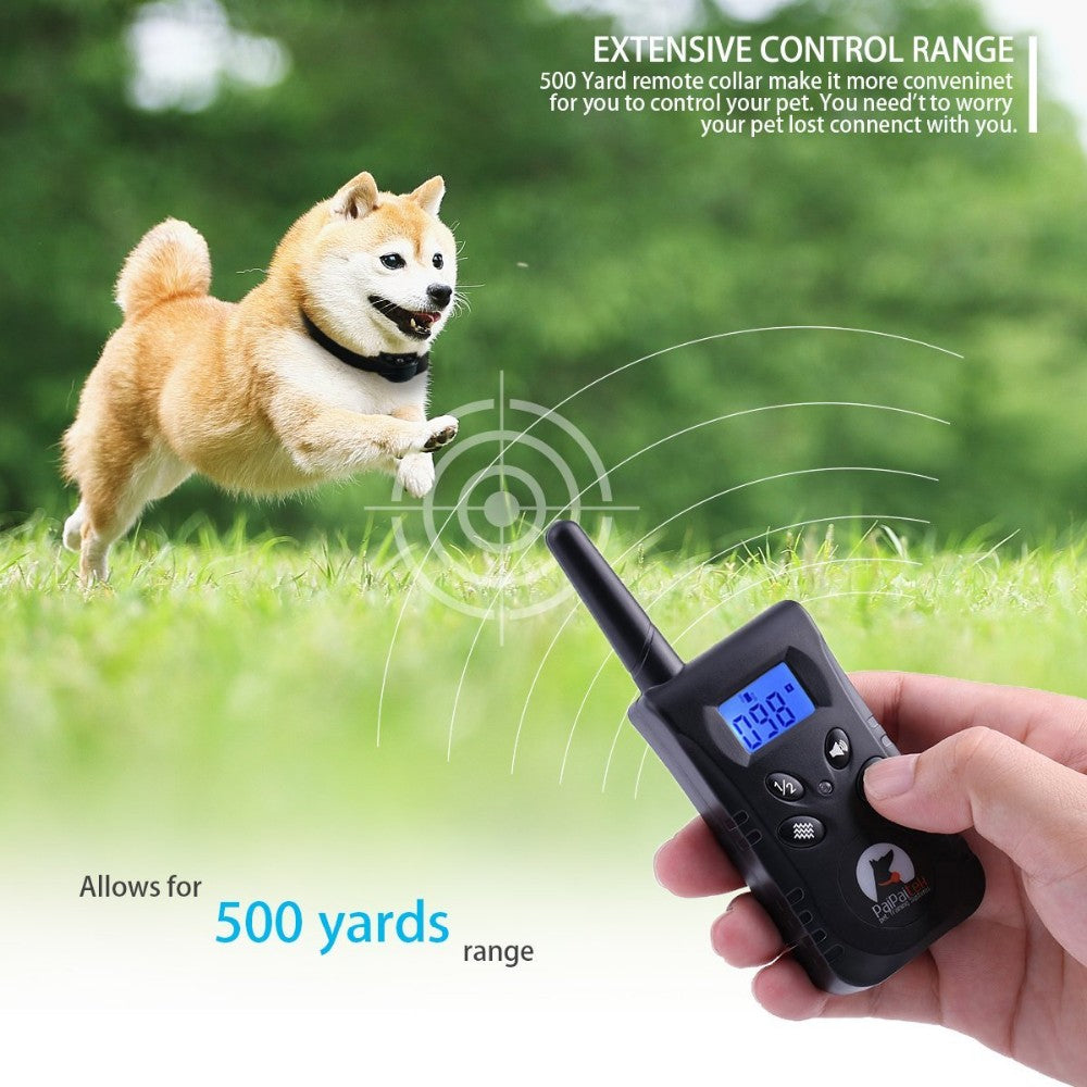 Collier de dressage pour chien anti - shock