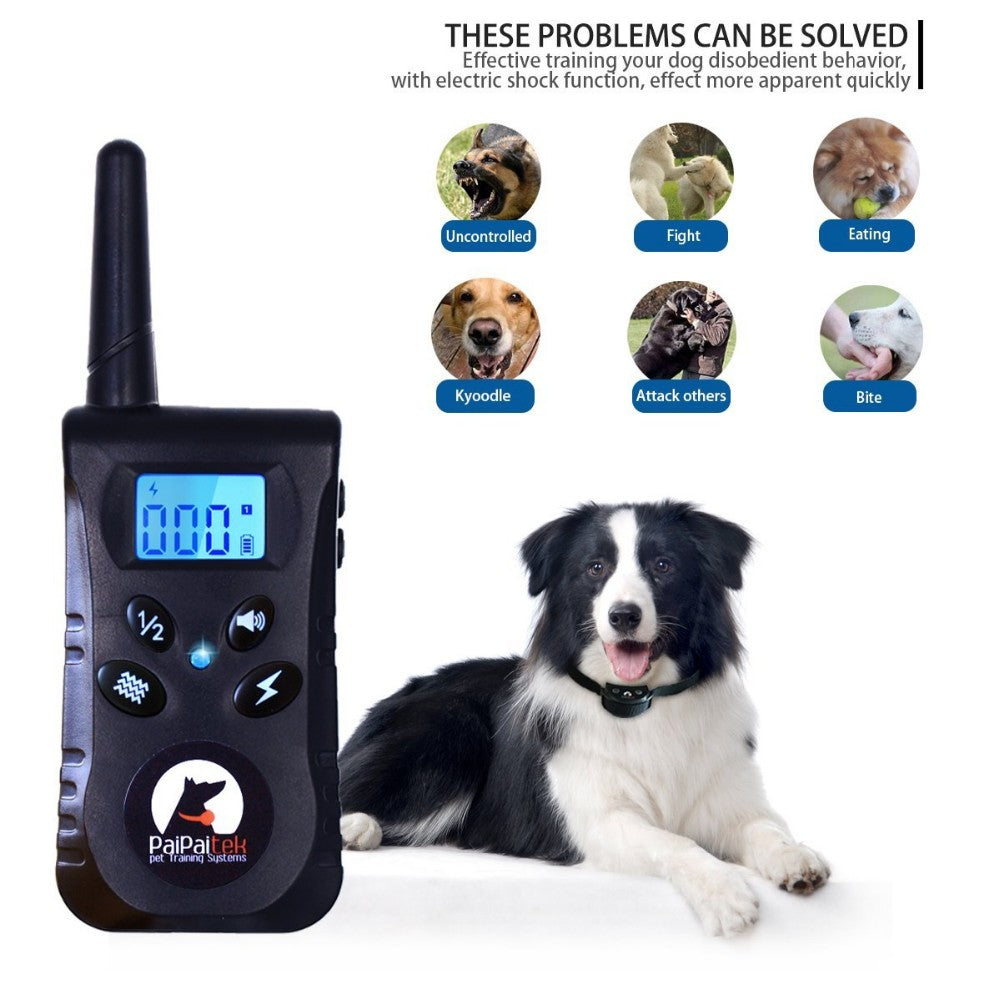 Collier de dressage pour chien anti - shock