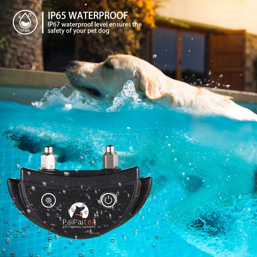 Collier de dressage pour chien anti - shock