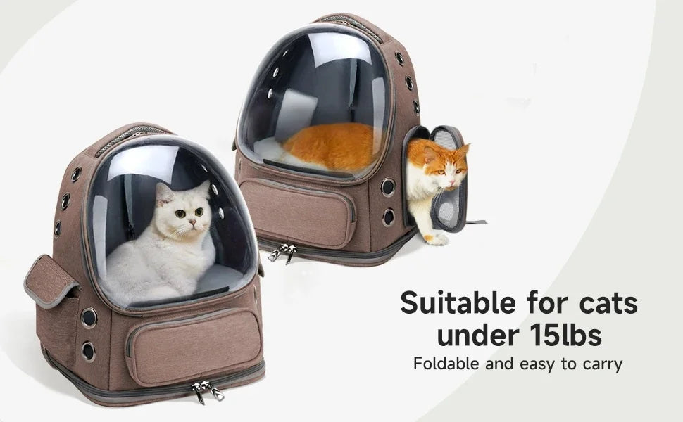 Sac à dos transparent pour animaux de compagnie, accessoire idéal pour chat, sac à bandoulière pour animaux de compagnie en extérieur