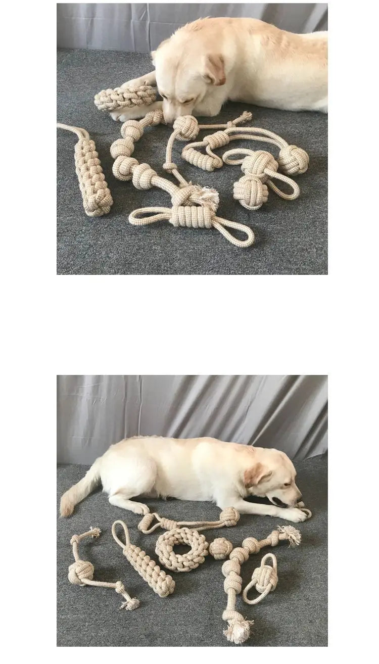 Jouets interactifs à nœuds pour chiens et chats