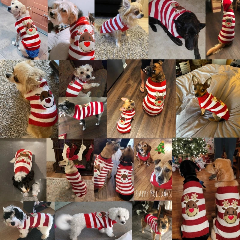 Vêtements chauds de Noël pour chiens et chats