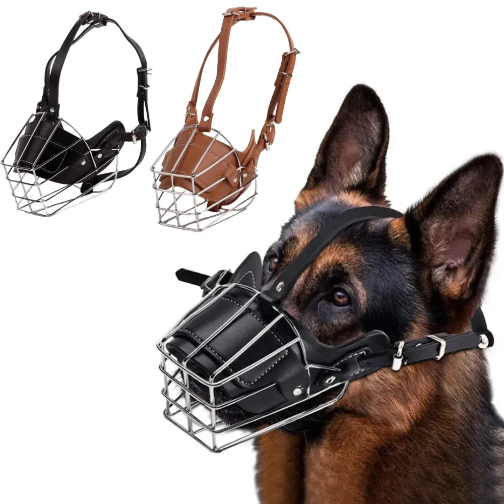 DOG'S ACCESSOIRES 