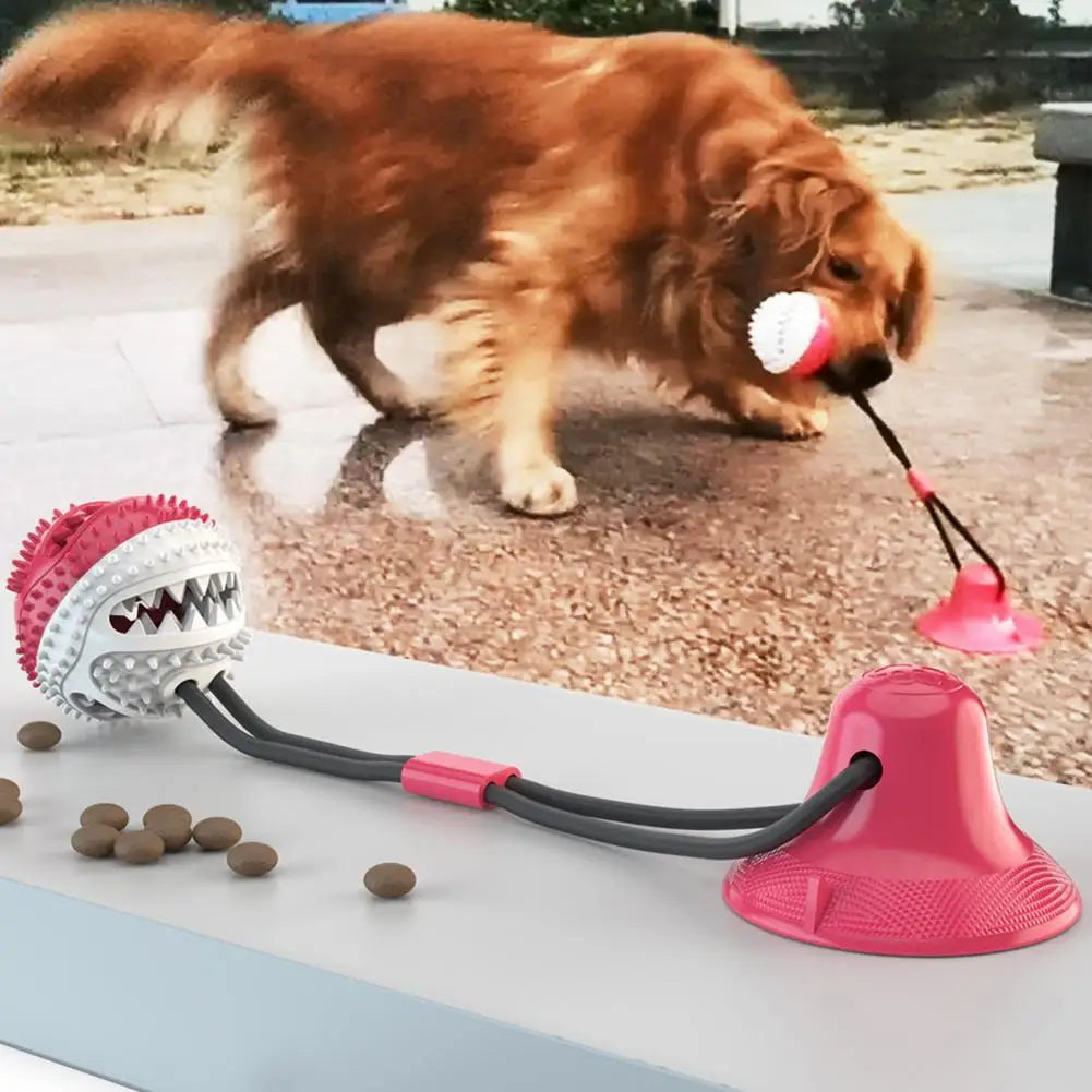 Jouets à mâcher pour chien, jouet interactif à ventouse pour chien, jouet distributeur de friandises