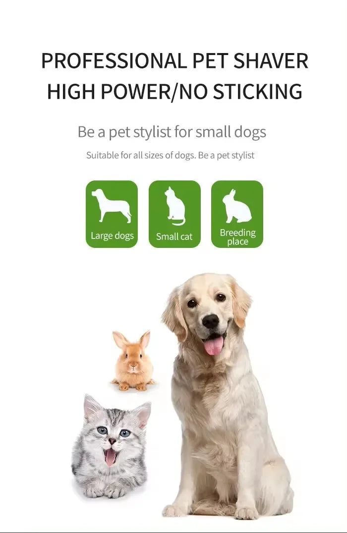 Tondeuse rechargeable pour chien