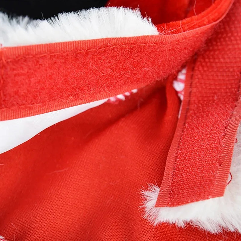 Veste / costume de noel pour chien