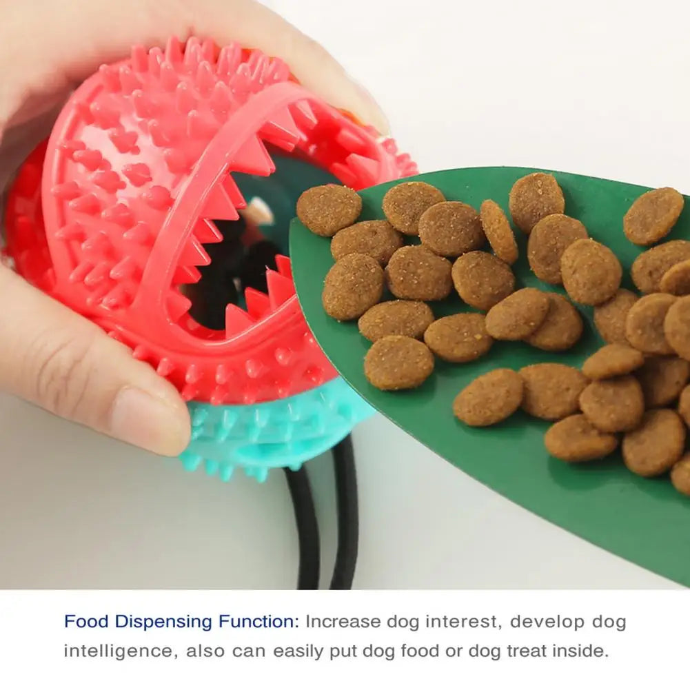Jouets à mâcher pour chien, jouet interactif à ventouse pour chien, jouet distributeur de friandises