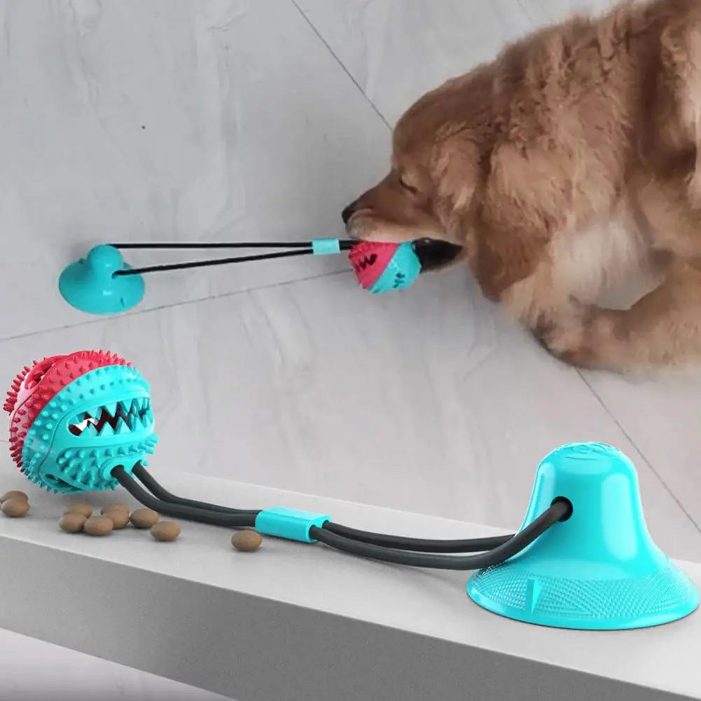 Jouets à mâcher pour chien, jouet interactif à ventouse pour chien, jouet distributeur de friandises