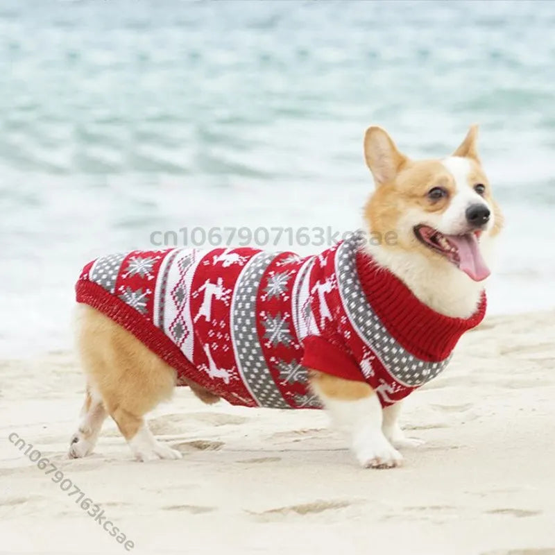 Vêtements chauds de Noël pour chiens