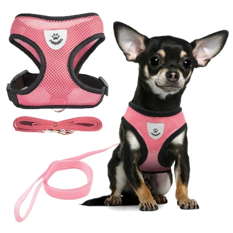 DOG'S ACCESSOIRES 