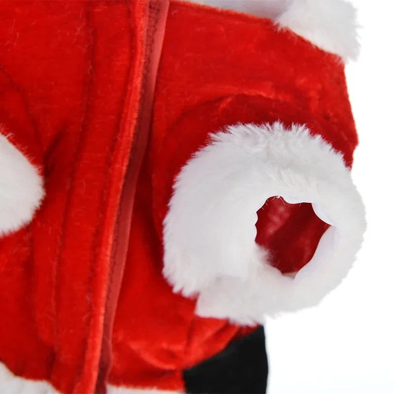 Veste / costume de noel pour chien