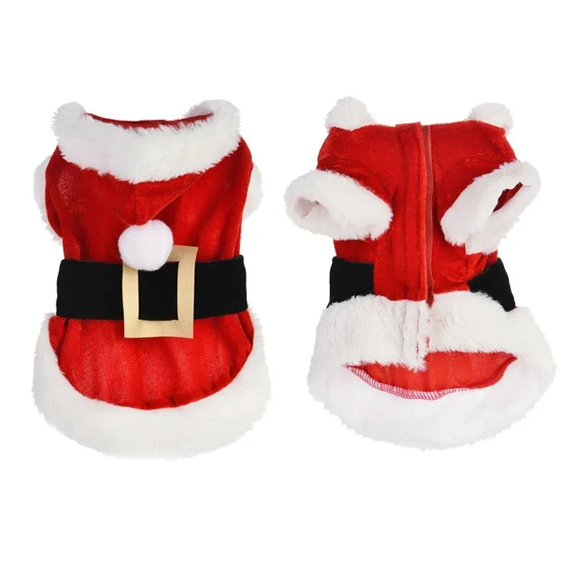 Veste / costume de noel pour chien