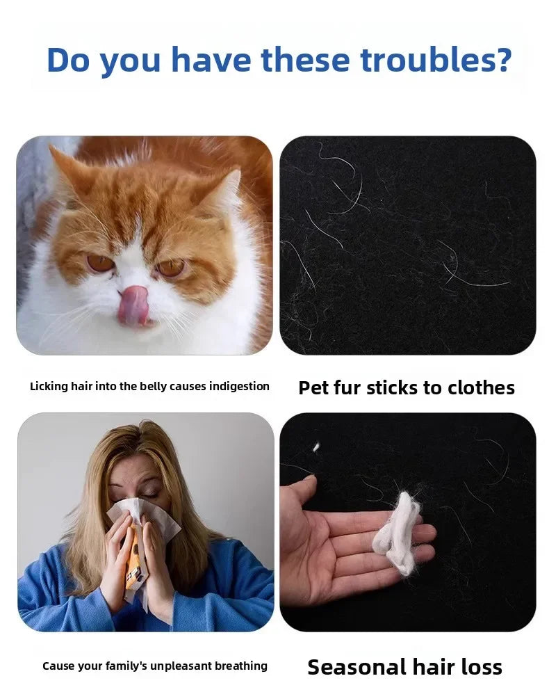 Gant de toilettage pour chien