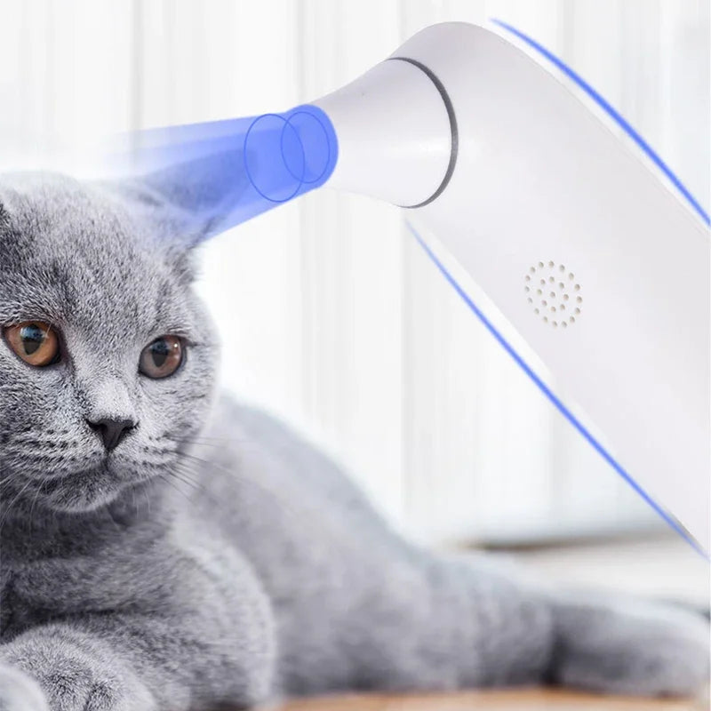 Thermomètre digital pour chiens et chats