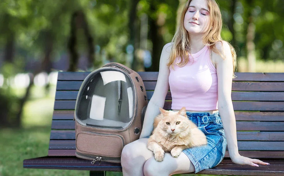 Sac à dos transparent pour animaux de compagnie, accessoire idéal pour chat, sac à bandoulière pour animaux de compagnie en extérieur