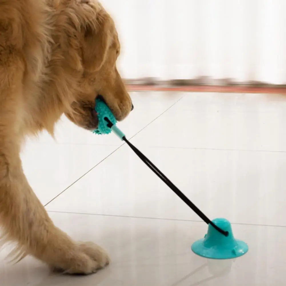 Jouets à mâcher pour chien, jouet interactif à ventouse pour chien, jouet distributeur de friandises