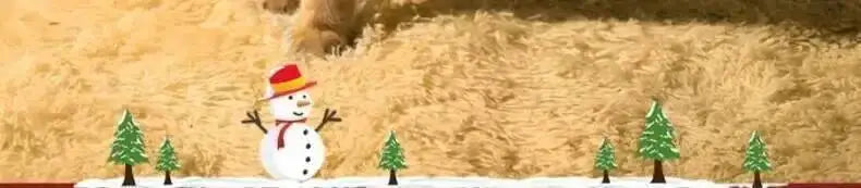 Nid d'hiver de nöel fermé pour chats et chiens