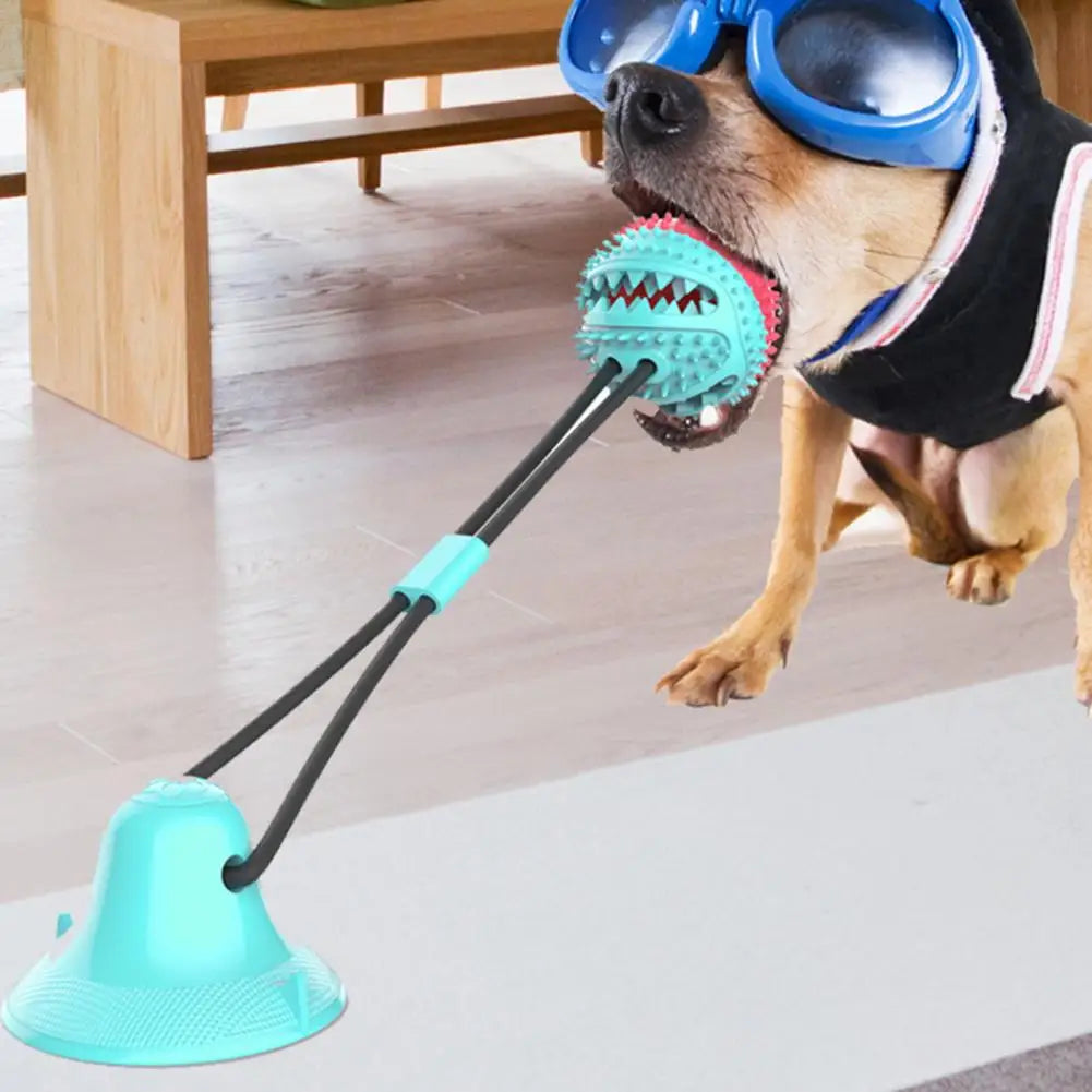 Jouets à mâcher pour chien, jouet interactif à ventouse pour chien, jouet distributeur de friandises
