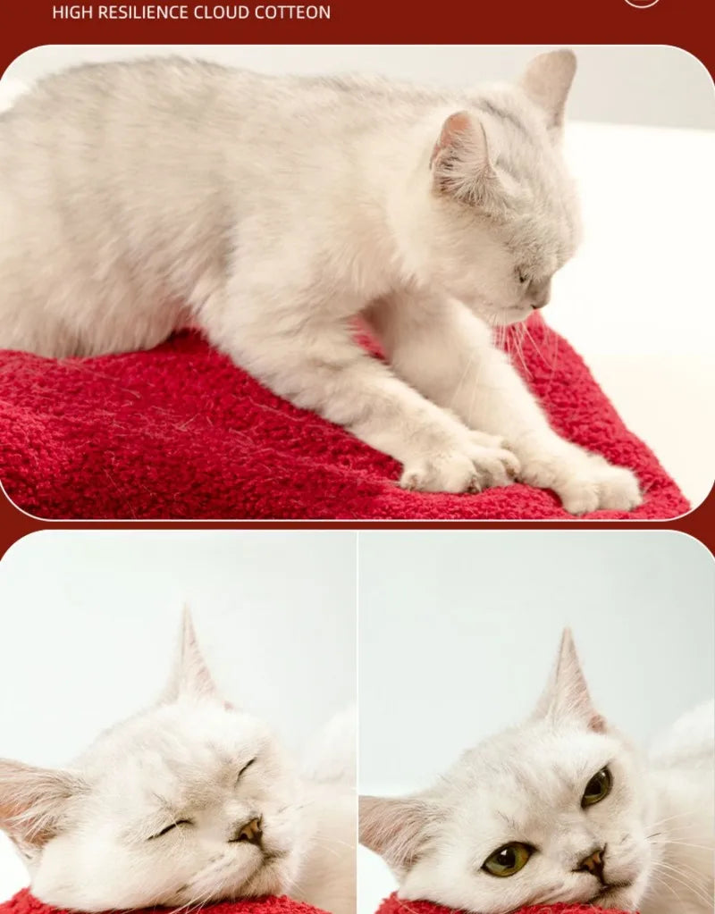 Nid douillet pliable pour animaux de compagnie, idéal pour Noel, avec décorations et accessoires pour chiens et chats.