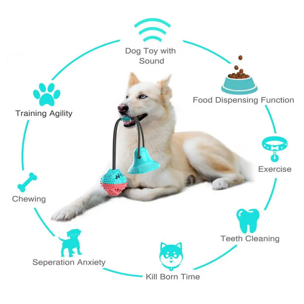 Jouets à mâcher pour chien, jouet interactif à ventouse pour chien, jouet distributeur de friandises