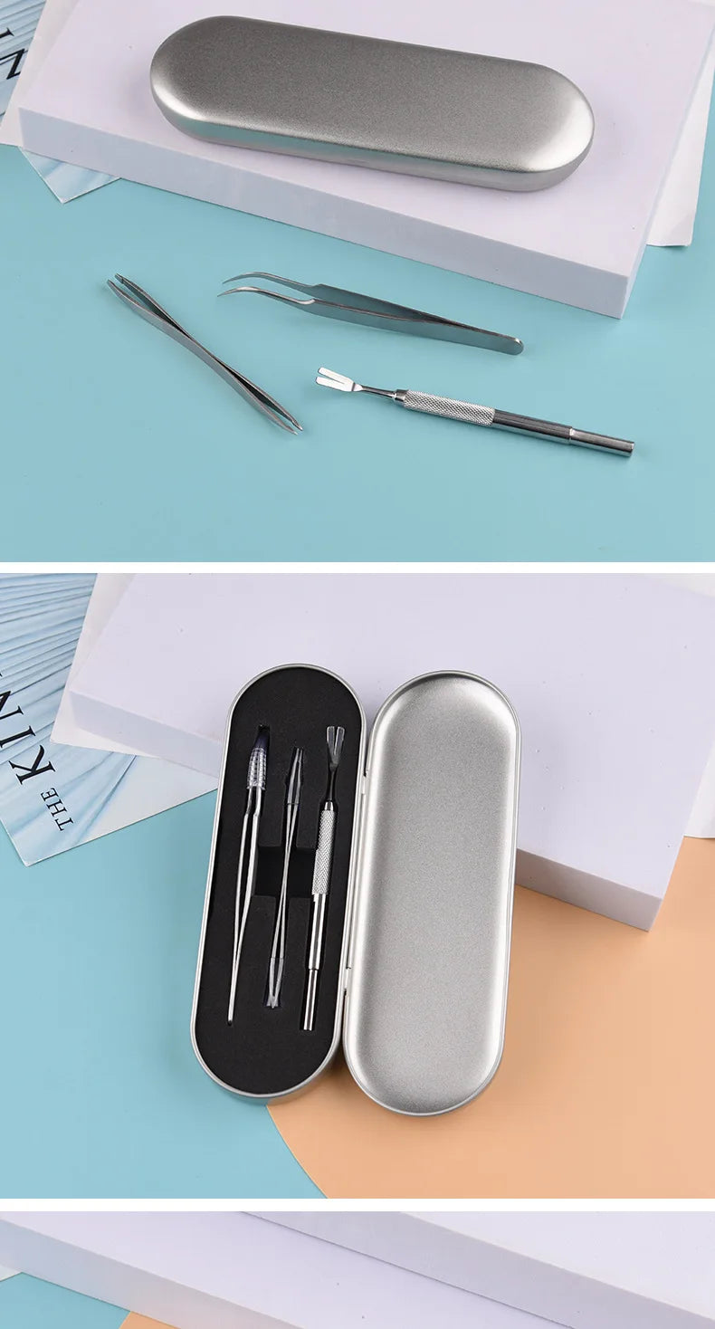 Ensemble d'outils anti-puces, pinces et crochets à gratter en acier inoxydable de qualité pour animaux de compagnie (chats et chiens)