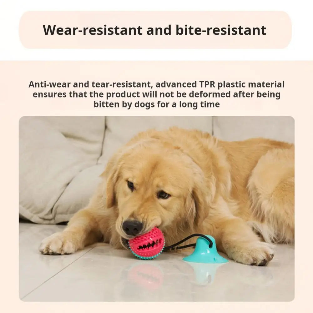 Jouets à mâcher pour chien, jouet interactif à ventouse pour chien, jouet distributeur de friandises