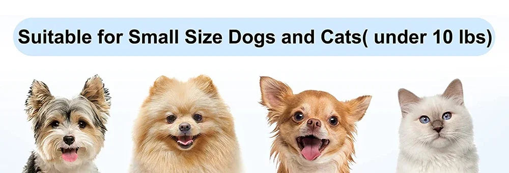 Sac à dos de transport pour chien, respirant