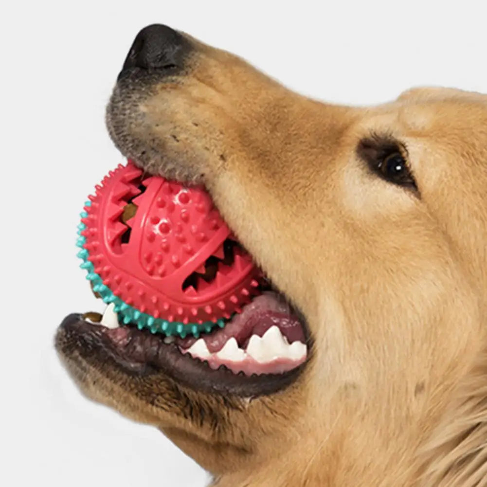 Jouets à mâcher pour chien, jouet interactif à ventouse pour chien, jouet distributeur de friandises