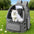 Sac à dos transparent pour animaux de compagnie, accessoire idéal pour chat, sac à bandoulière pour animaux de compagnie en extérieur