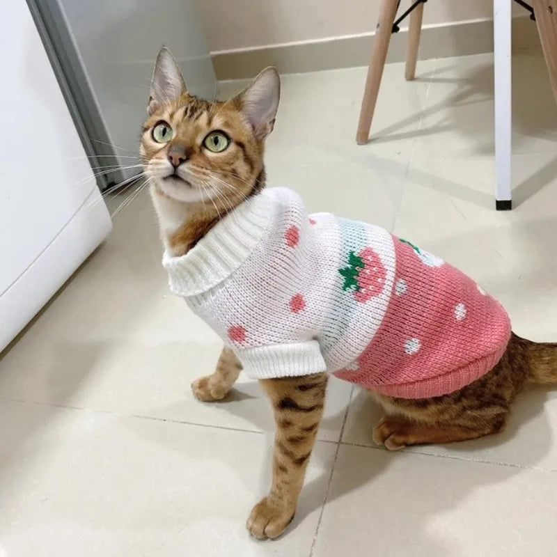 Vêtements chauds de Noël pour chiens et chats