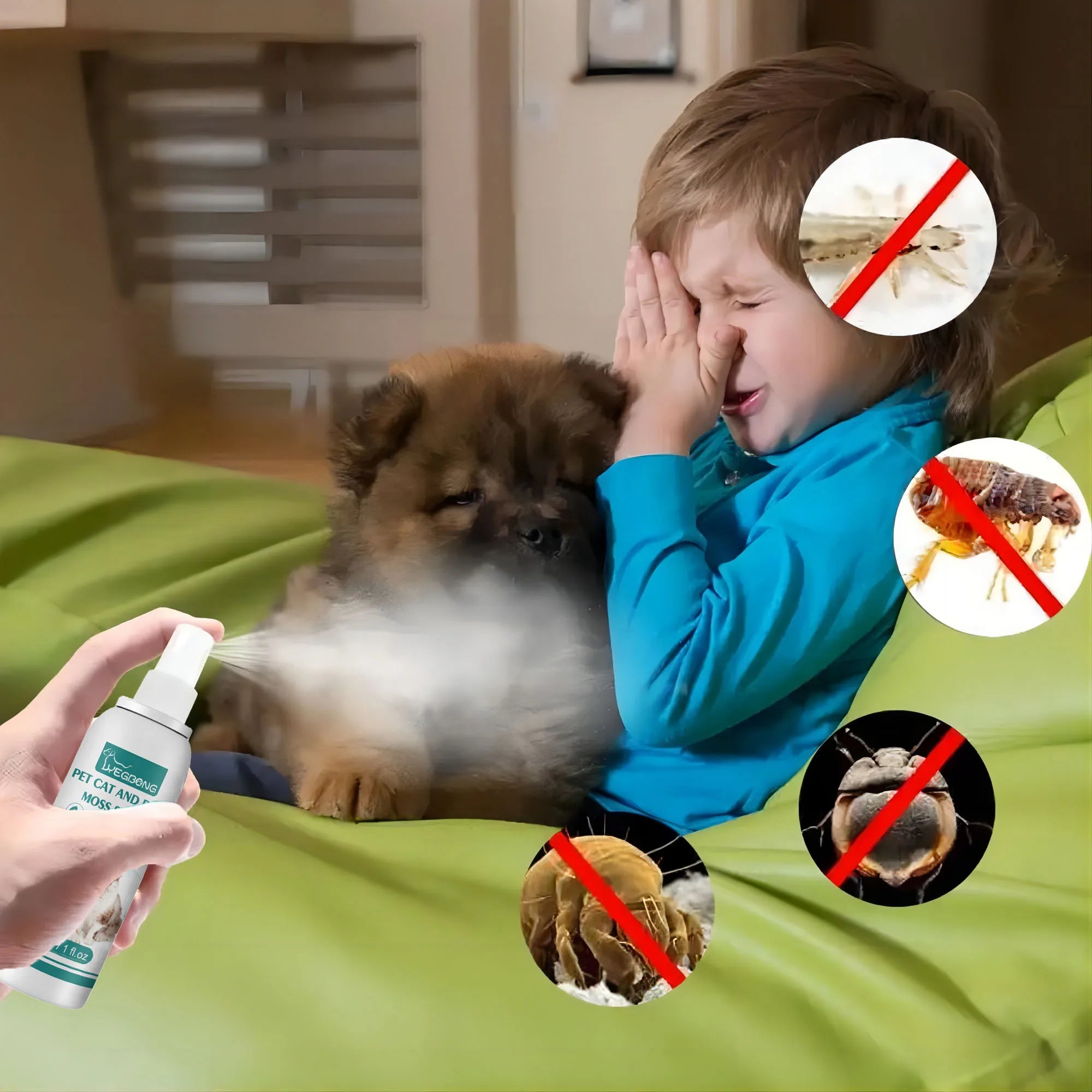 Spray anti-puces et anti-poux Pet Expel 30 ml - Traitement rapide et pratique contre les puces et les tiques pour chiens et chats - Produits de santé animale