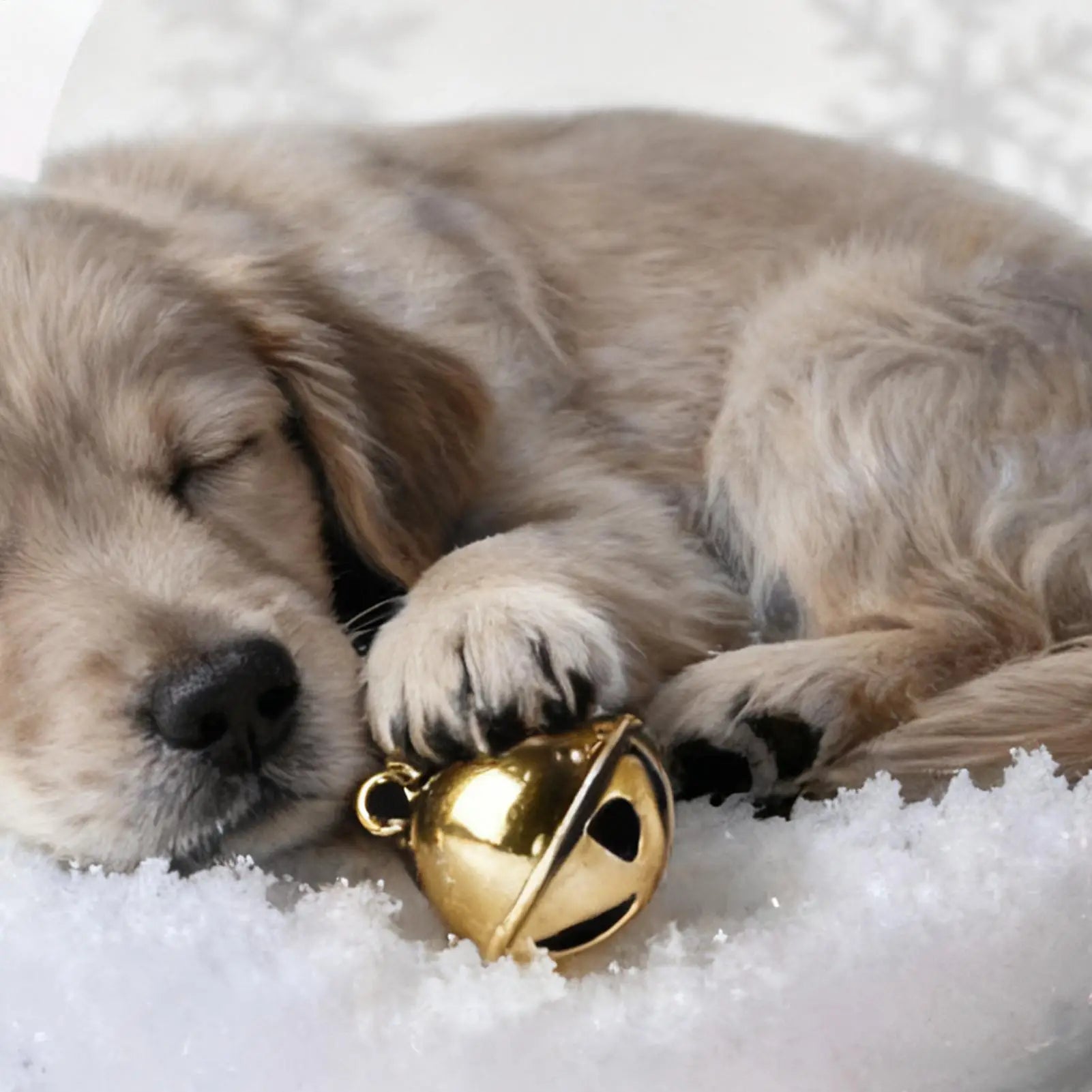 Décorations de Noël pour sapin, boules transparentes incassables à suspendre, décorations pour sapin, vitrine de chambre ou de centre commercial