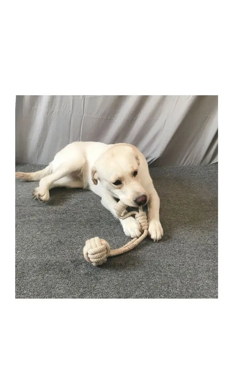 Jouets interactifs à nœuds pour chiens et chats