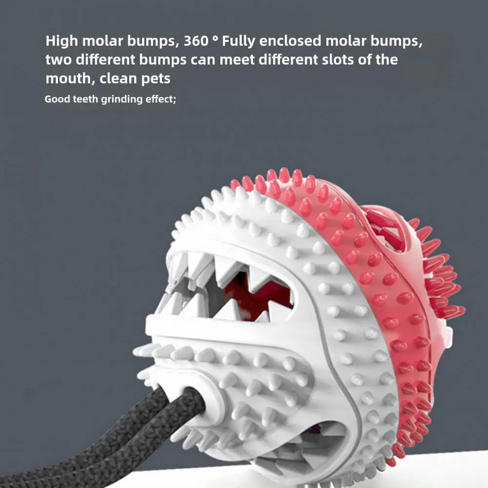 Jouets à mâcher pour chien, jouet interactif à ventouse pour chien, jouet distributeur de friandises