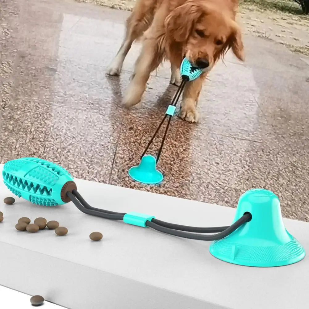 Jouets à mâcher pour chien, jouet interactif à ventouse pour chien, jouet distributeur de friandises
