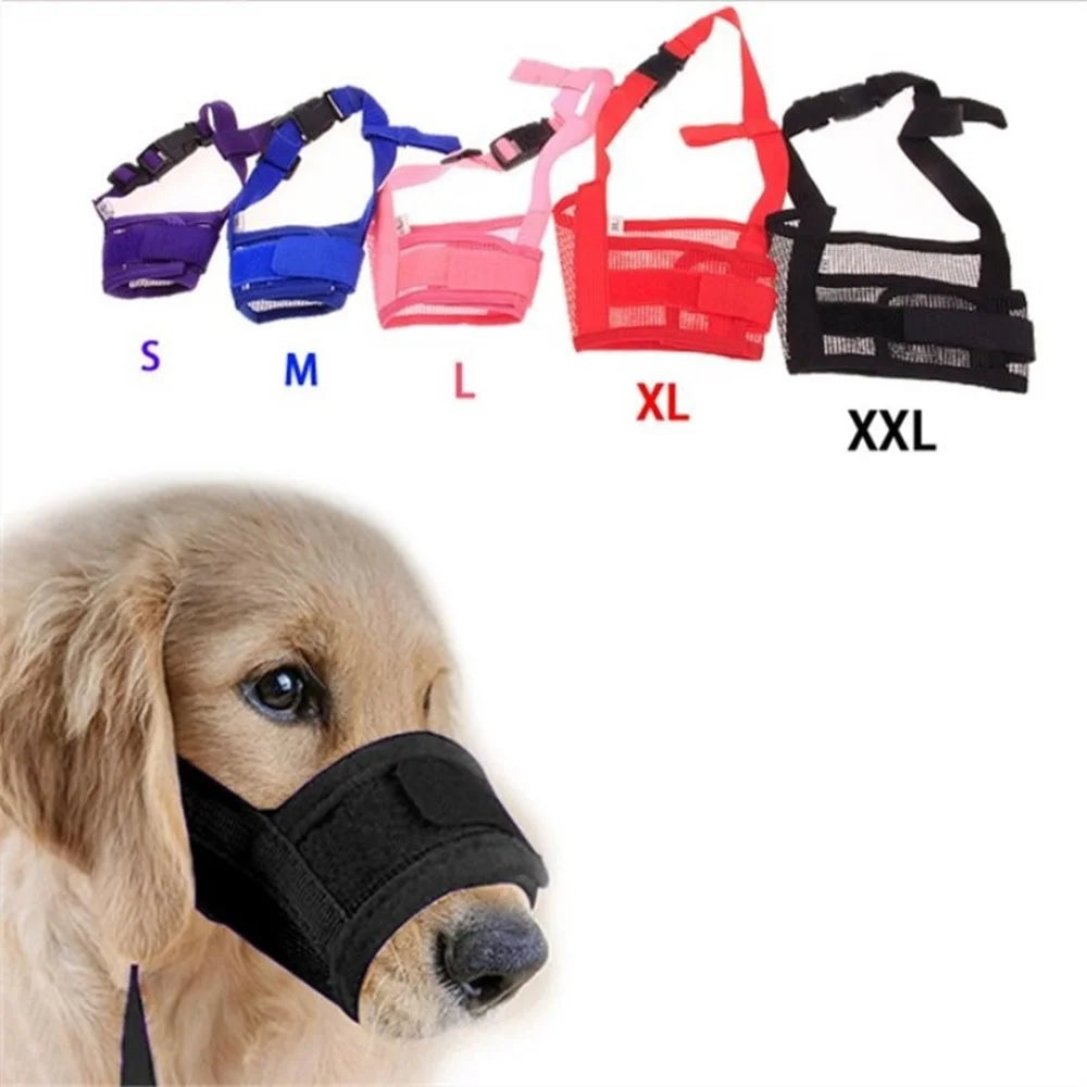 DOG'S ACCESSOIRES 