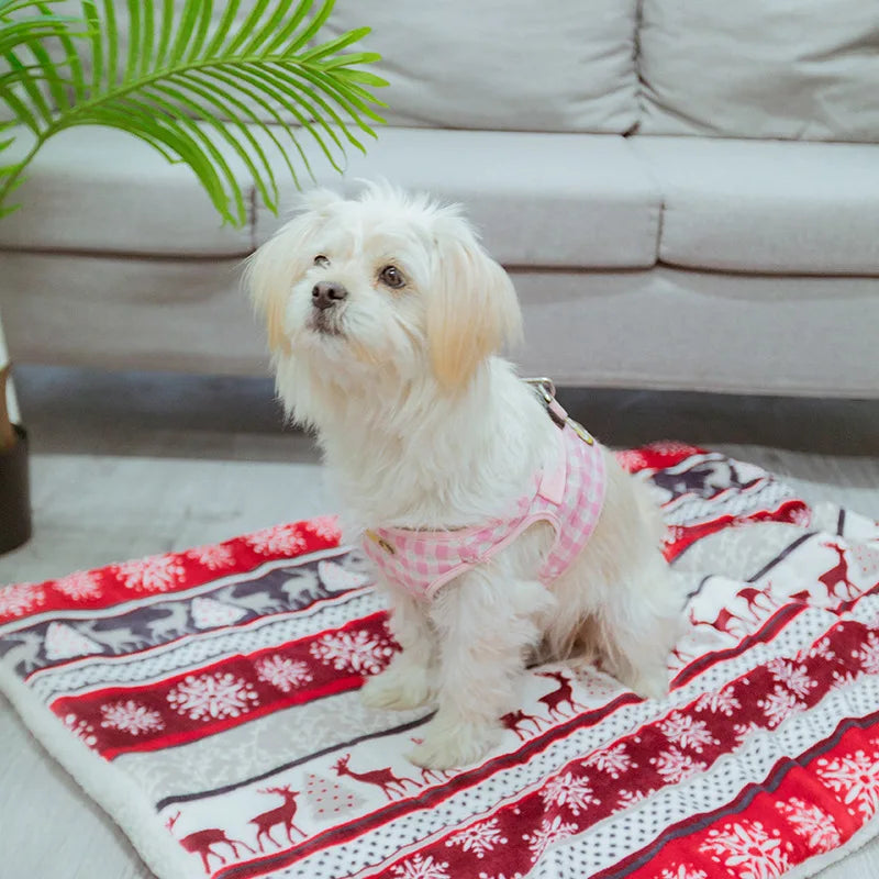Tapis, couverture de Noel pour chien, couverture imprimé