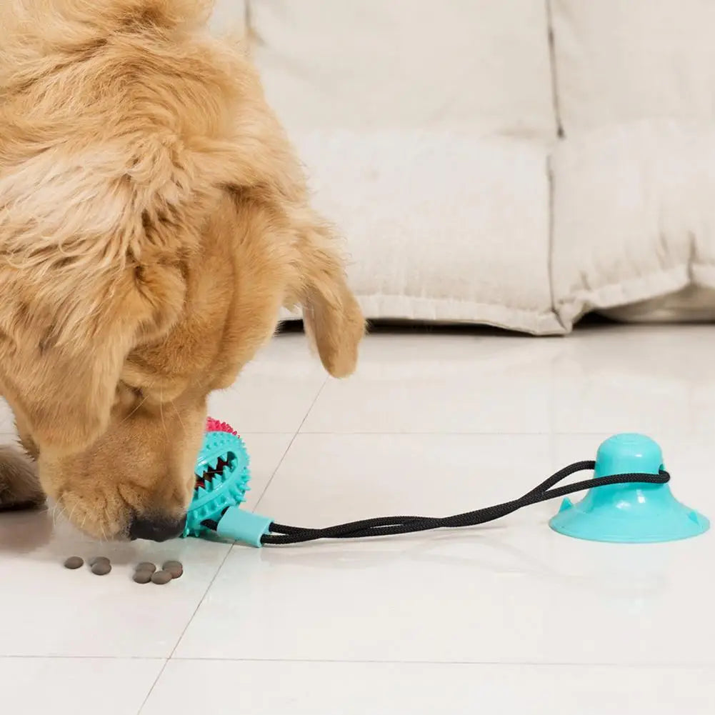 Jouets à mâcher pour chien, jouet interactif à ventouse pour chien, jouet distributeur de friandises