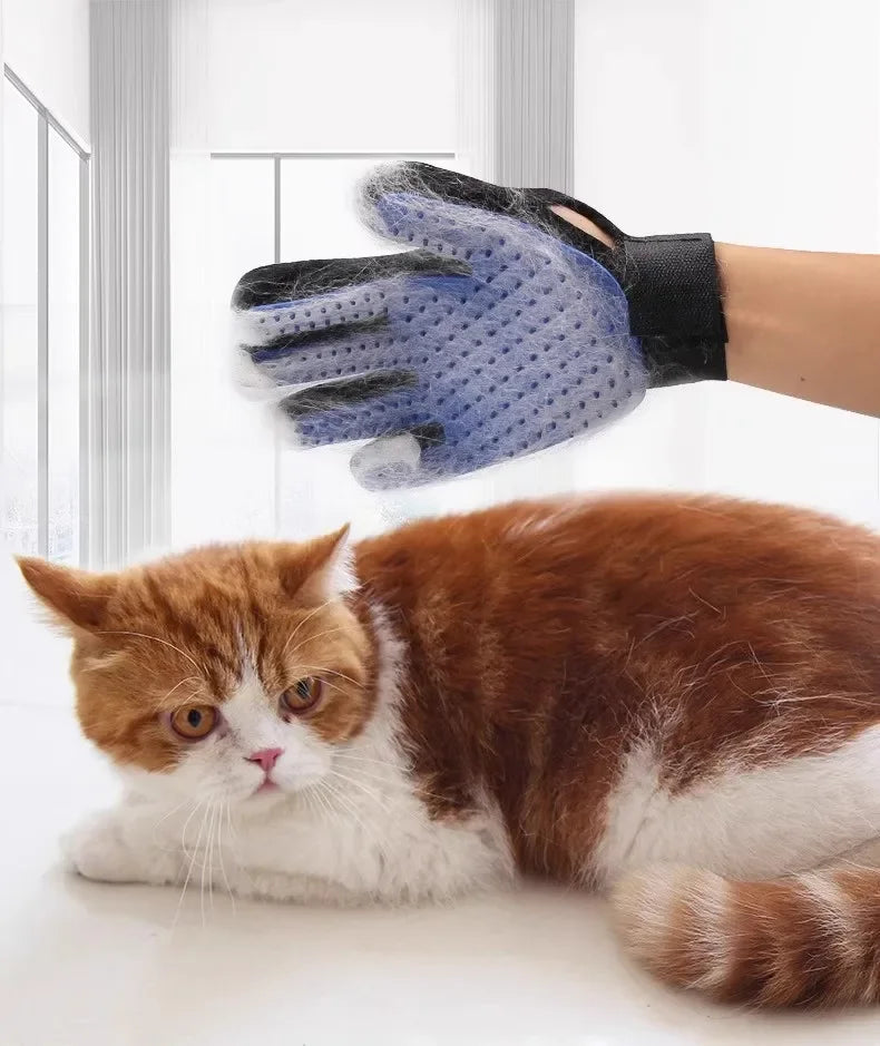 Gant de toilettage pour chien