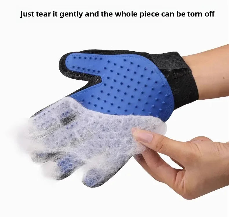Gant de toilettage pour chien