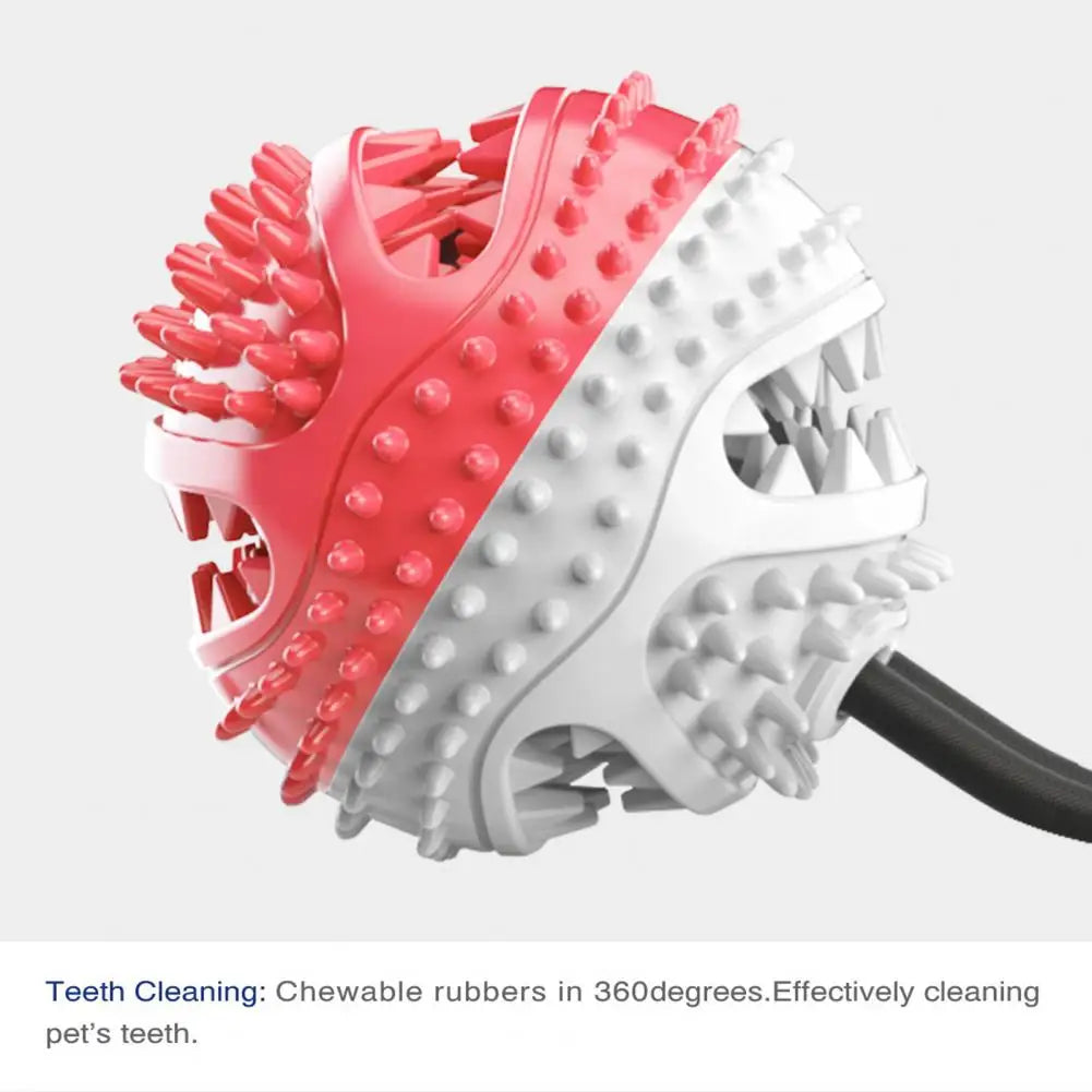 Jouets à mâcher pour chien, jouet interactif à ventouse pour chien, jouet distributeur de friandises