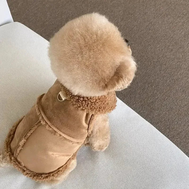 Vêtements, gilet, veste pour chien