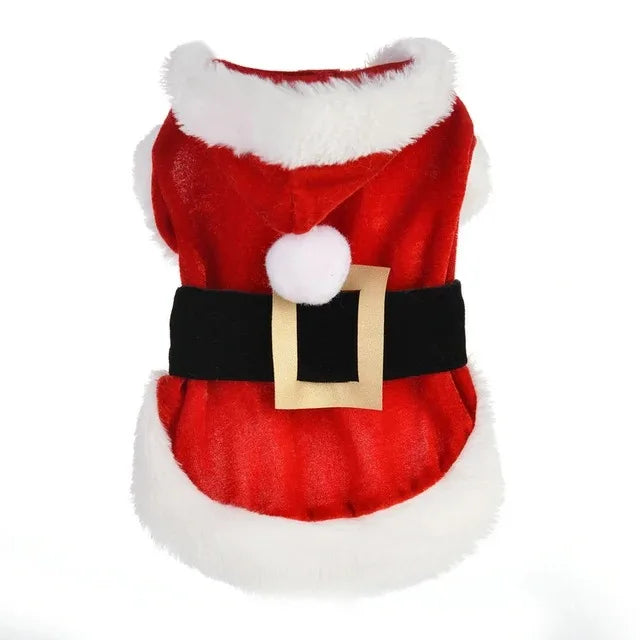 Veste / costume de noel pour chien